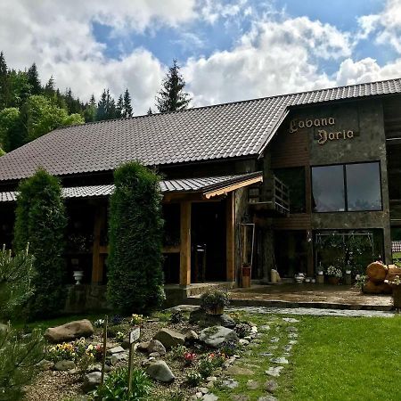 Cabana Daria Hotel Arieşeni Екстериор снимка